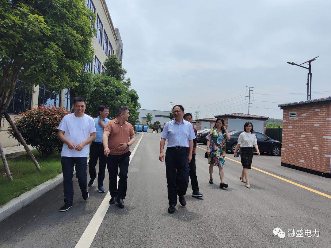 湖南省委政策研究室李先吉副主任蒞臨融盛電力產(chǎn)業(yè)園調(diào)研指導(dǎo)工作