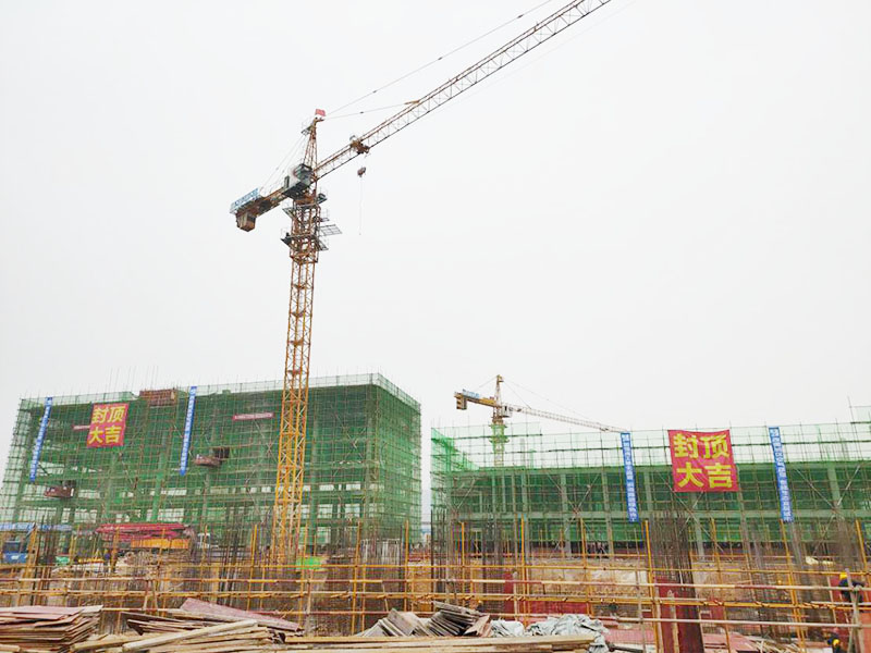 岳陽融盛實業(yè)公司“融盛電力成套設(shè)備生產(chǎn)項目2號、3號樓”封頂儀式圓滿成功